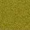 Mustard Mustard