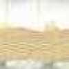 Ivory × Beige Ivory × Beige