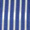 Blue/White