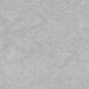 Light Gray Light Gray