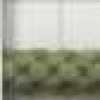 Grass Green Grass Green