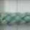Sea Green Sea Green
