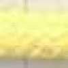 Lemon Yellow Lemon Yellow