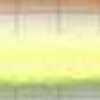 Fluorescent Yellow Fluorescent Yellow