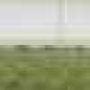 Grass Green Grass Green