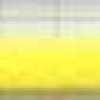 Lemon Yellow