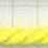Lemon Yellow Lemon Yellow