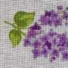 Powder Purple × Flower Powder Purple × Flower