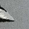 Gray Gray