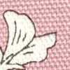Pink Pink