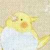 Beige Parakeet Beige Parakeet