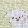 Powder Yellow Dog Powder Yellow Dog