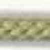 Asparagus Green Asparagus Green