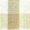 Beige Beige