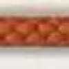 Carrot Orange Carrot Orange