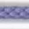 Crocus Crocus