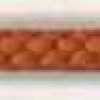 Carrot Orange Carrot Orange