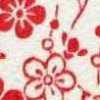Ivory X Red Ivory X Red