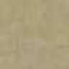 Beige Beige