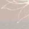 Pink Beige Pink Beige