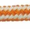 Orange Orange