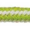 Light Green Light Green