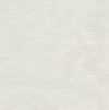 Light Gray Light Gray