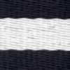 Navy Blue × White