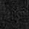 Gray Gray