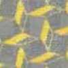 Yellow Yellow