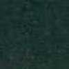Dark Green Dark Green