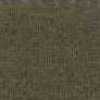 Khaki Khaki