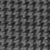 Gray Gray