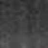 Gray Gray