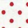 Medium Polka Dot-White×Red
