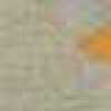 Beige X Orange Beige X Orange