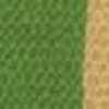 Yellow X Green Yellow X Green