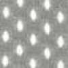Gray Gray
