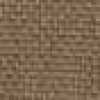 Brown Beige