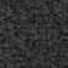 Gray Gray