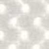 Light Gray Light Gray