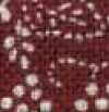 Botanical Pattern Red