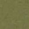 Light Khaki Light Khaki