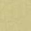 Pale Mustard Pale Mustard