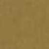 Golden Khaki Golden Khaki