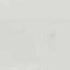 Silver Gray Silver Gray