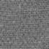 Gray Gray