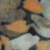 Brown Brown