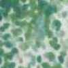 Green Green