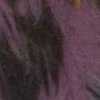 Purple Purple